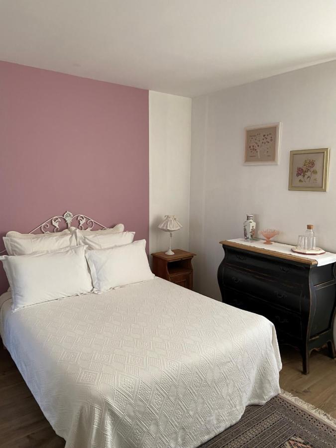 Les Chambres De L'Aigronne Le Petit-Pressigny Esterno foto